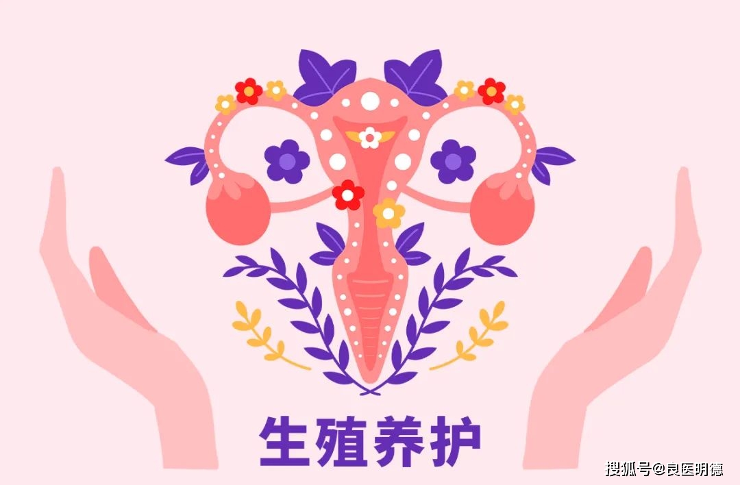 壬辰生物:做好生育赛道的龙头企业_生殖_问题_资本