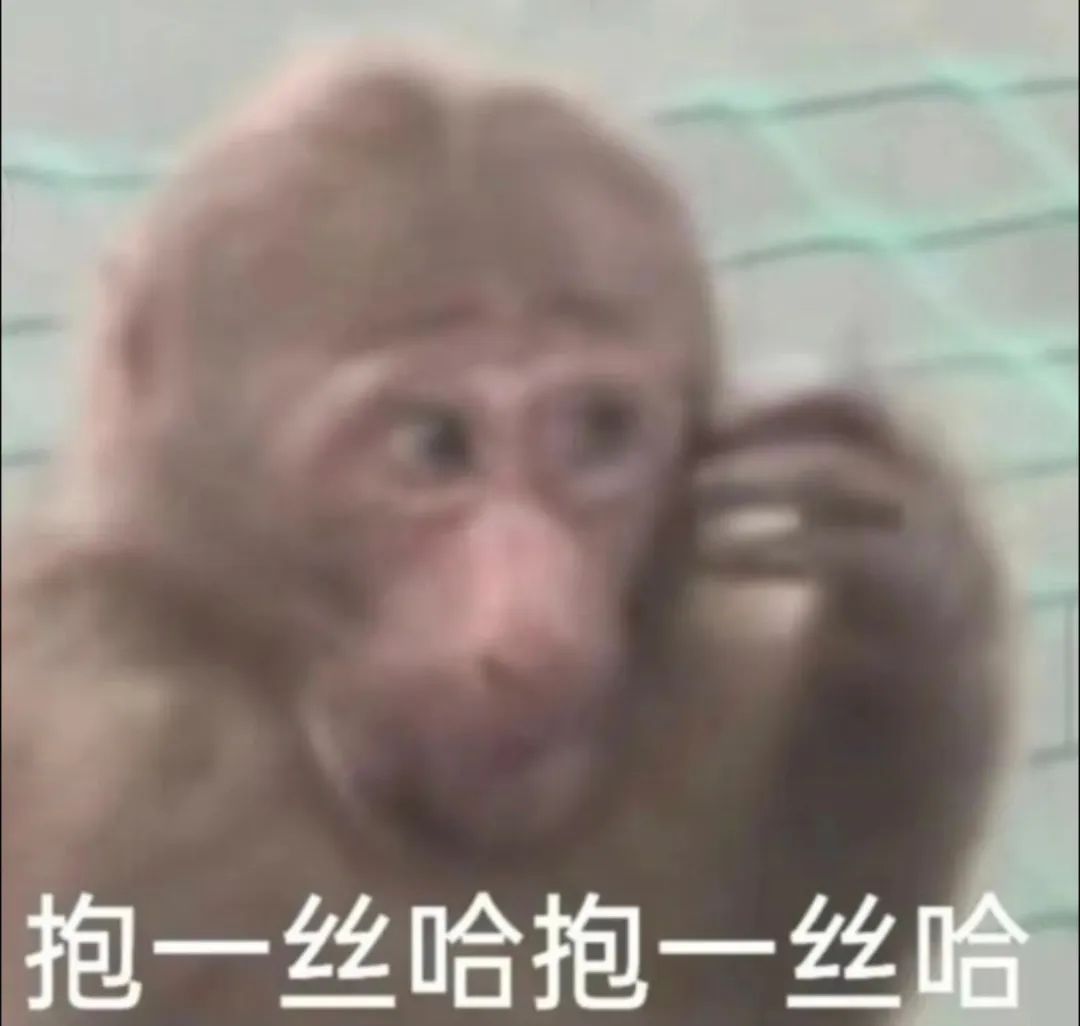 猴子模糊表情包图片