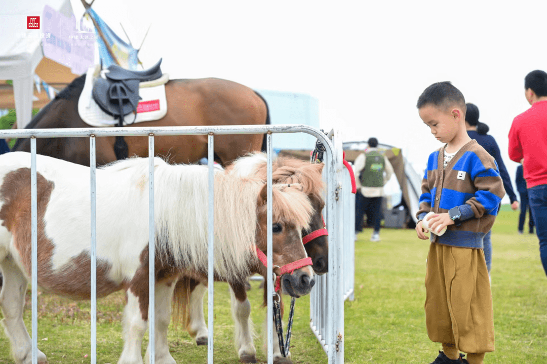 nature club 湖滨躺营派对,完整攻略敬请查收!_活动_抽奖_四季