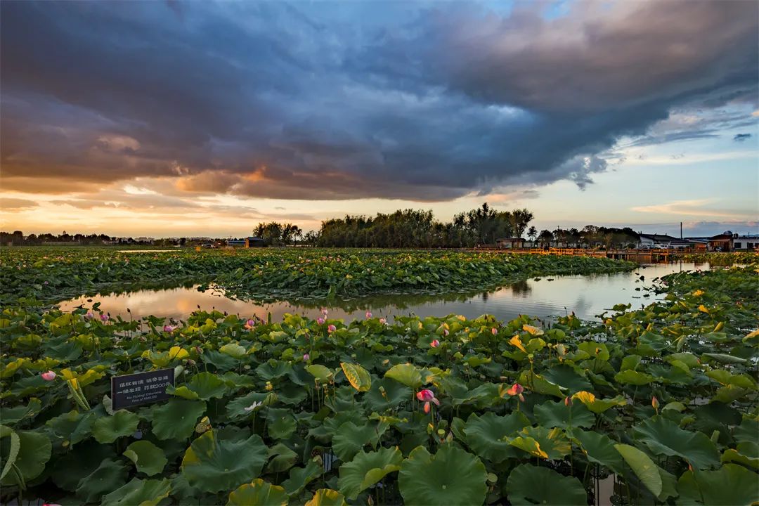 乐享云南 | 美景·曲靖麒麟水乡