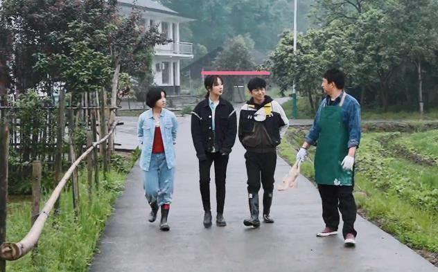 167杨紫跟172的何炅同框,身高差反着来,怎么还缩着长呢_高度_情况