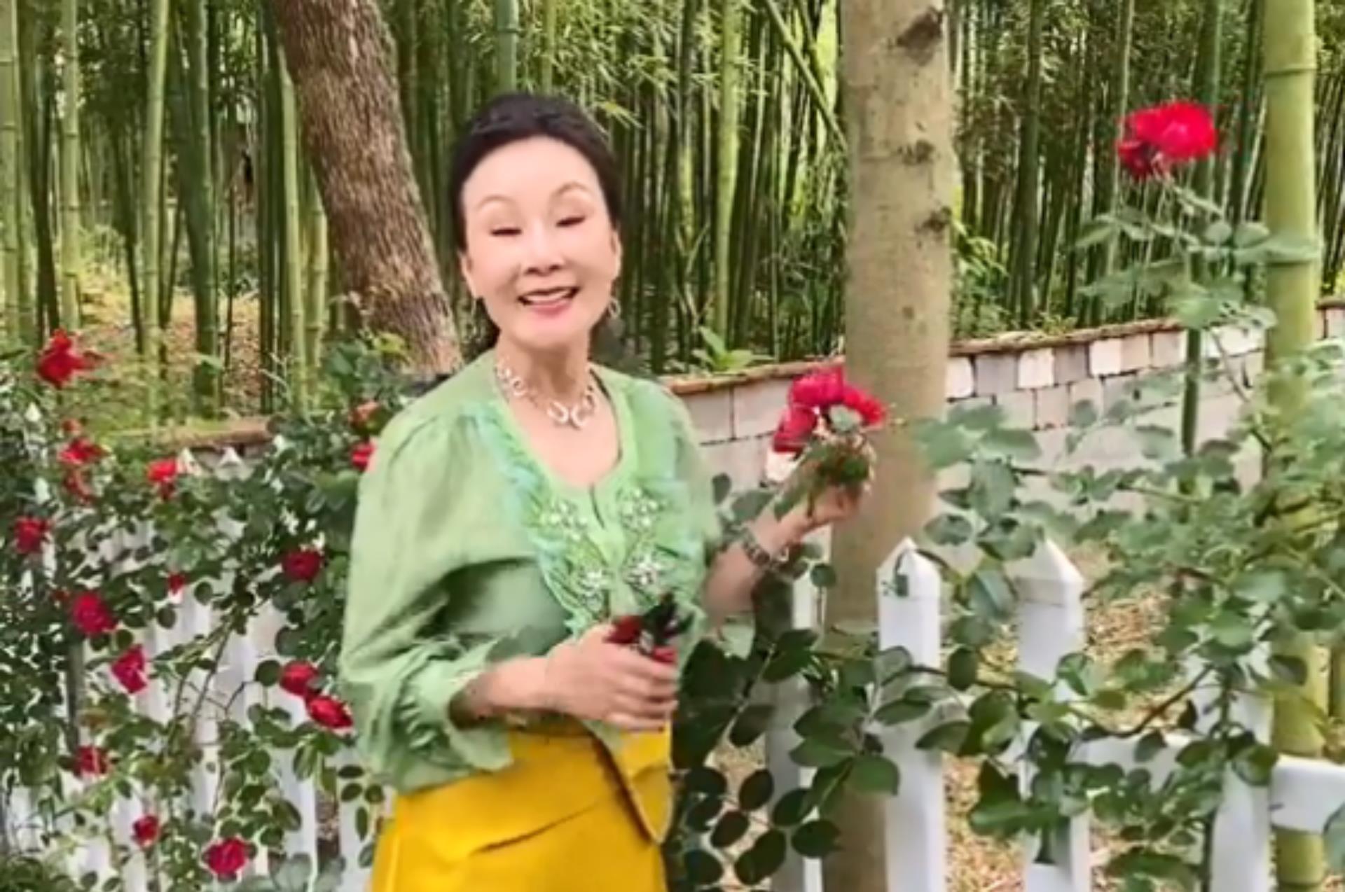 雪瑞姑姑徐石萍,33岁放弃100万净身出户,单身30年活成18岁公主_阿姨