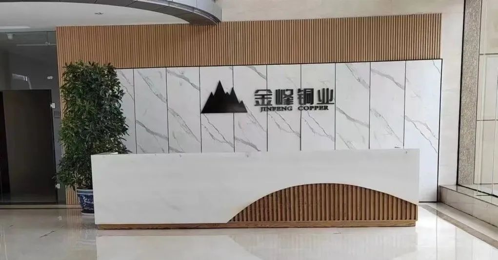 南京市华智星受邀与金峰集团开展交流_转型_数字化_水泥