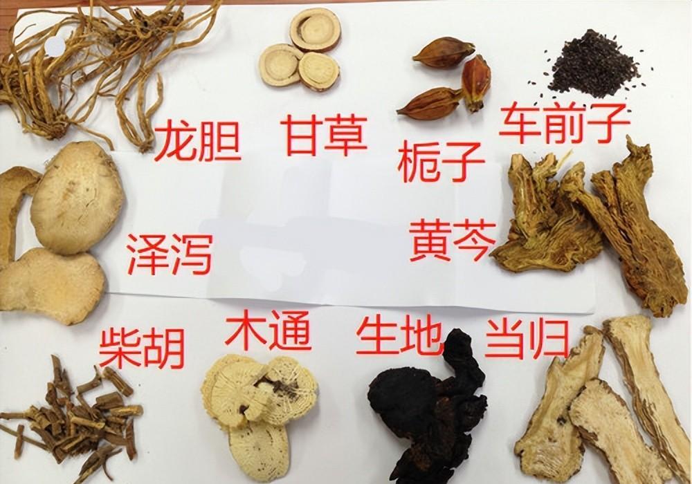 柴胡龙胆草生牡蛎图片