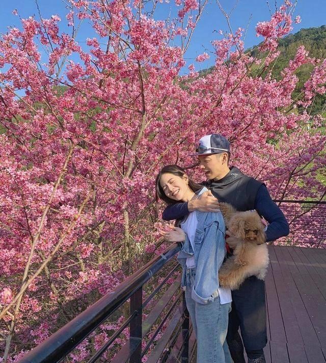 曾之乔晒赏樱照,与老公辰亦儒秀恩爱,空气里都是甜甜的味道_樱花_样子