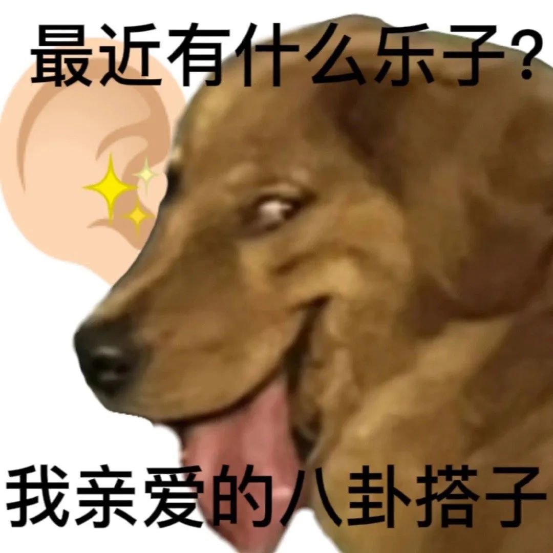 生活搭子表情包 676767