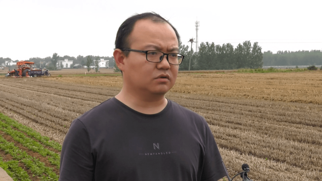 淅川:全力抢收夺粮 力保颗粒归仓_小麦_进行_厚坡镇