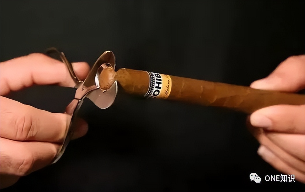 高端雪茄凭什么这么贵?_烟草_口感_过程