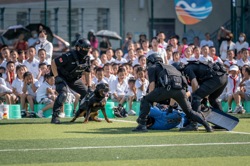 穿越机,警察叔叔和警犬也来了!_绵阳_交通_警种