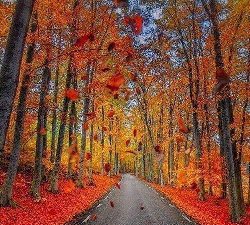 当你一无所有的时候,要学会折腾_生活_爱情_家庭