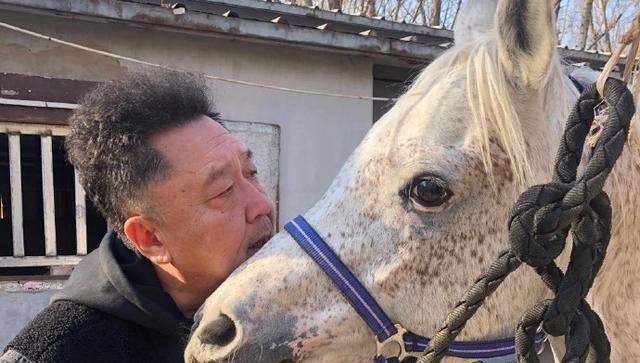 德云社于谦与网红马小跳合作,拍摄期间,打架的两匹矮马太可爱了_大爷