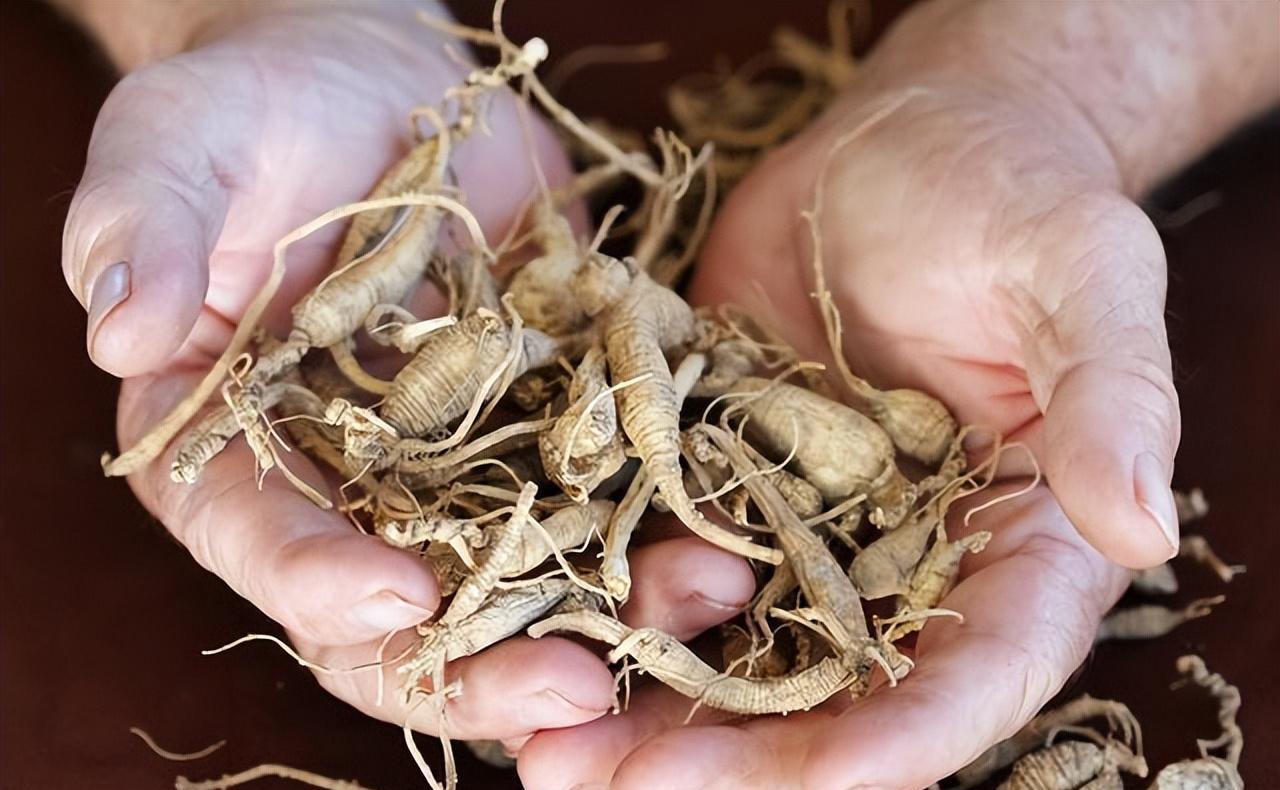 李时珍:三味中药,组成的"土方子",把阳气找回来!_草药_人参_体力