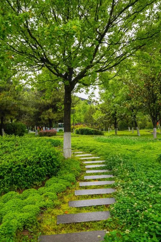 夏雨中的宝职怎能不爱～有一份雨天安全提醒,了解一下_暴雨_校园_要点
