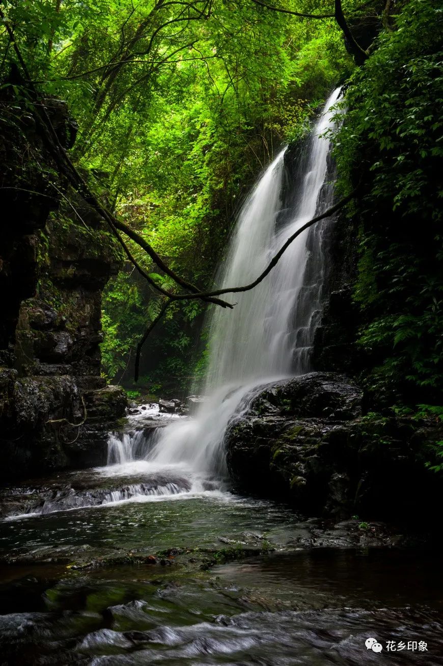 九龙瀑布群国家森林公园 茉莉花都的自然秘境 有山有水 避暑胜地