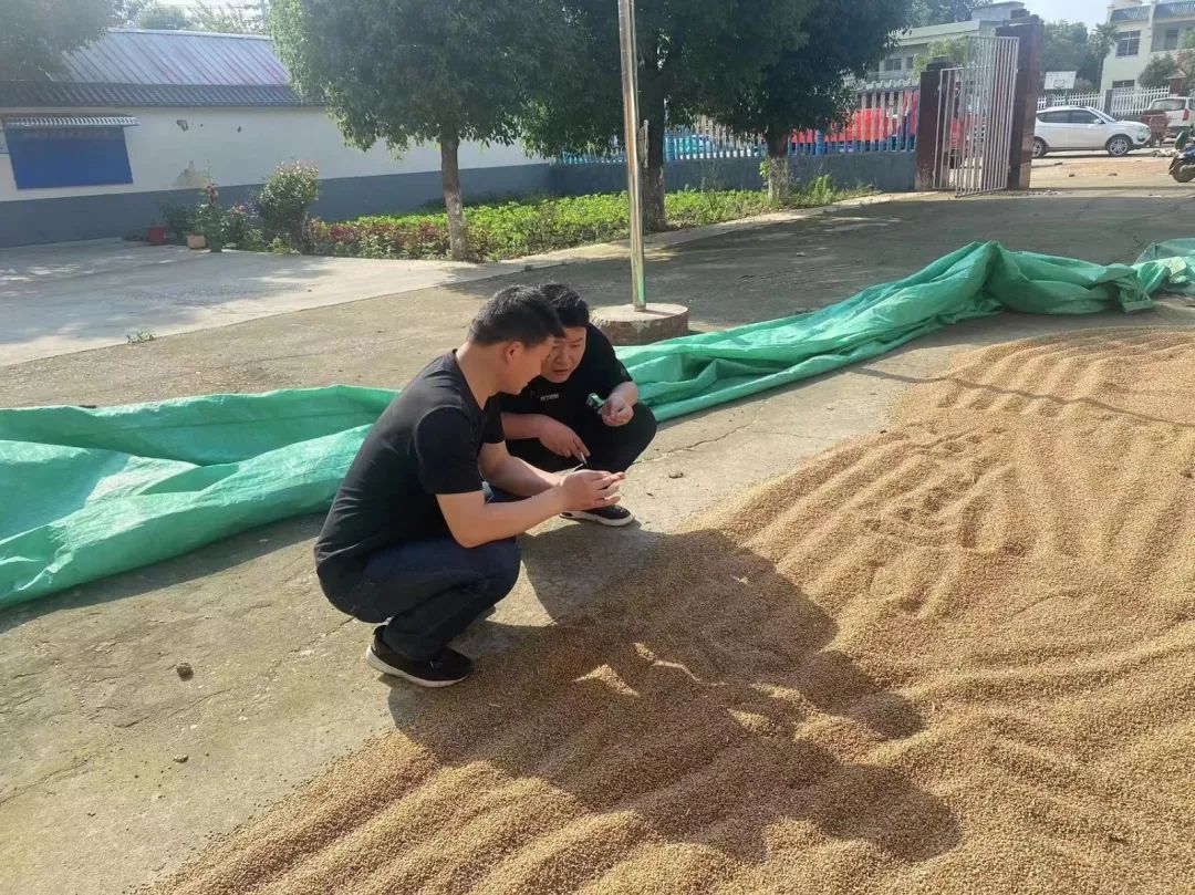 新甸铺镇各村书记图片