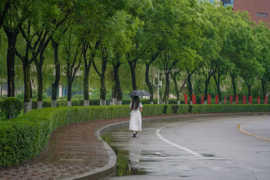 夏雨中的宝职怎能不爱～有一份雨天安全提醒,了解一下_暴雨_校园_要点