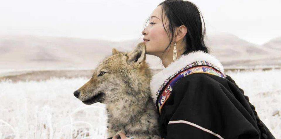 "中国第一狼女"李微漪:12年前养狼当"儿子",结局催人泪下_格林_时候