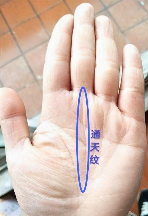 清朝正黄旗人都有通天纹,何为通天纹,为什么古籍说