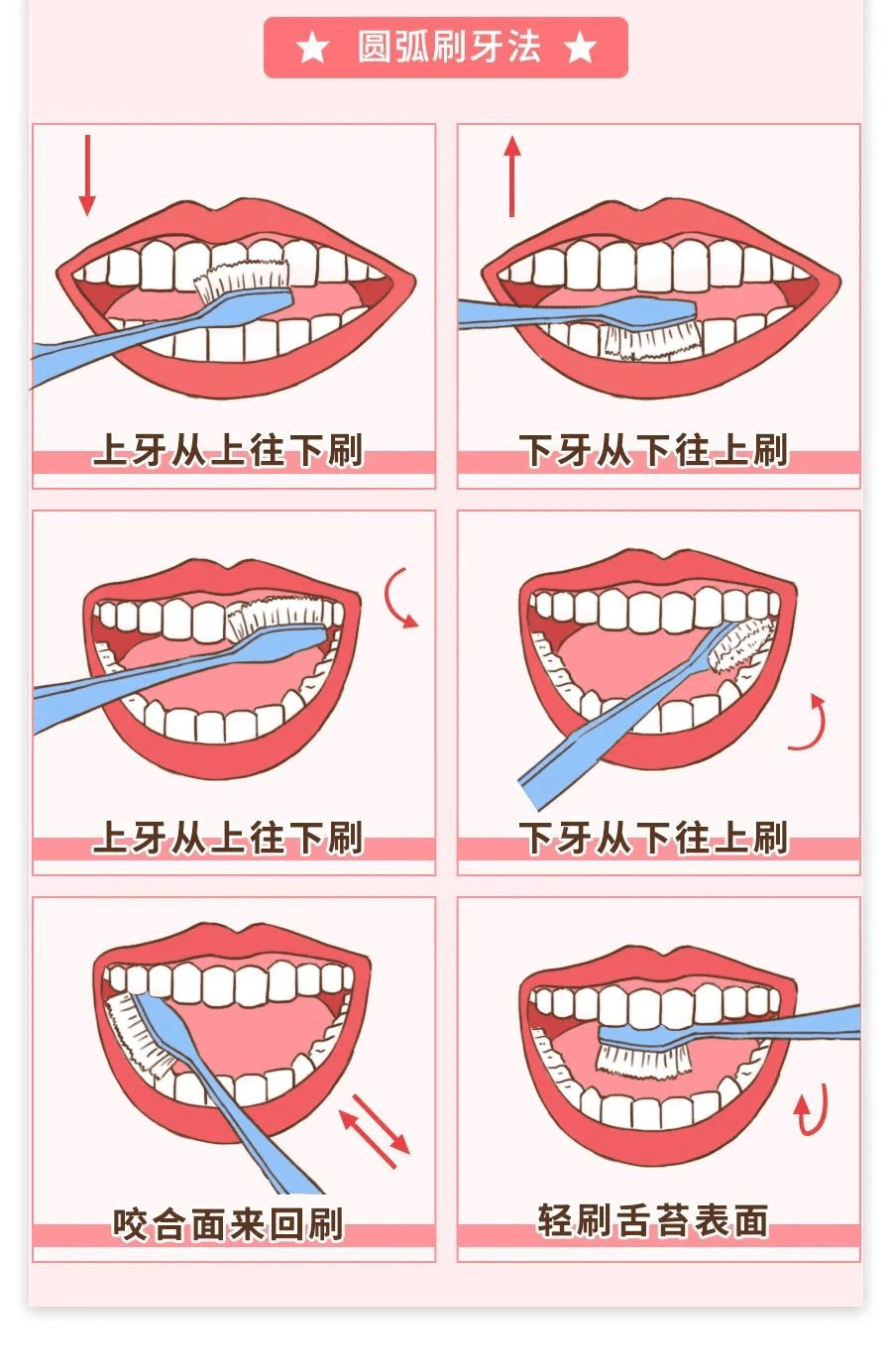 正确刷牙姿势图片