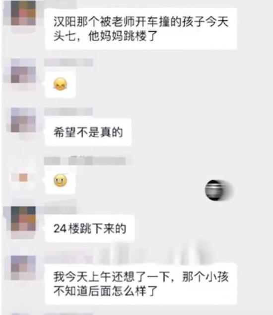 袁丽律师：校内被撞身亡小学生母亲坠楼身亡，网络暴力违法甚至犯罪！-袁丽群简历