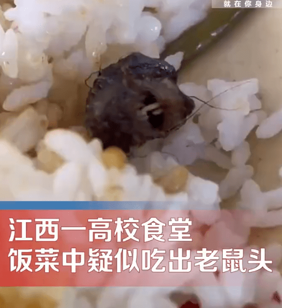 高校食堂饭菜疑吃出老鼠头,涉事学校曾因老鼠事件被联合执法