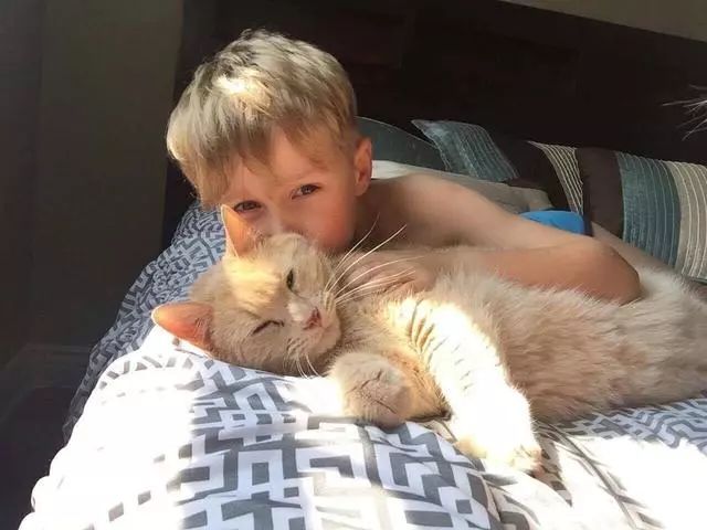 妈妈让儿子自己选领养的宠物，最终他抱走“10岁老猫”