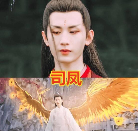 旭凤_时候_翅膀