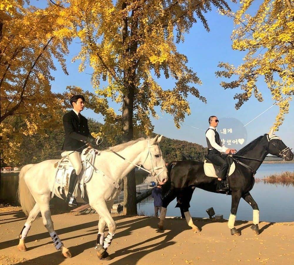 背景是在秋天染成金黄色的银杏树,完美衬托了李敏镐的气质呢!