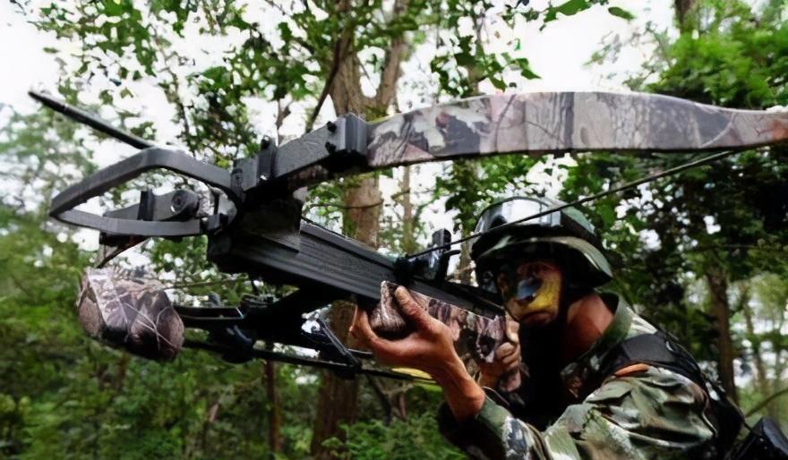 军用弩1把就值10支95步枪,射得还没步枪远,中国为何给部队装备_复合