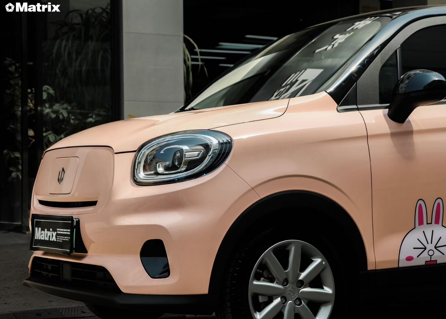 零跑t03-matrix矩阵改色膜贝壳粉,温柔浪漫的治愈色彩_樱花_案例