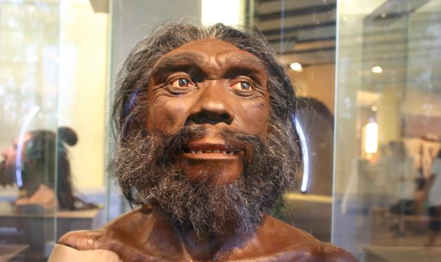 十万年前,地球上至少有六个人种,为何如今只剩下了我们自己?