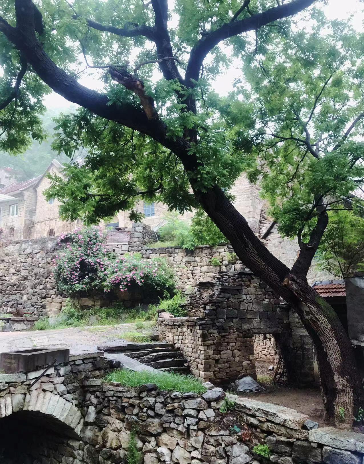 淄博·博山·恶石坞村 一个始建于明朝的小山村(自驾一日游)