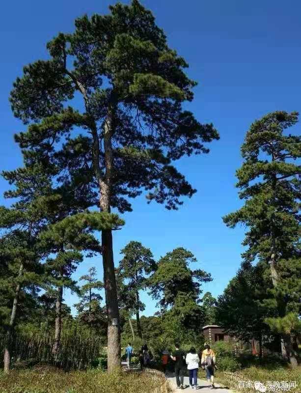 歷史風光情景劇《易州印跡》在荊軻刺秦出發地易水河畔開機_易縣_文化