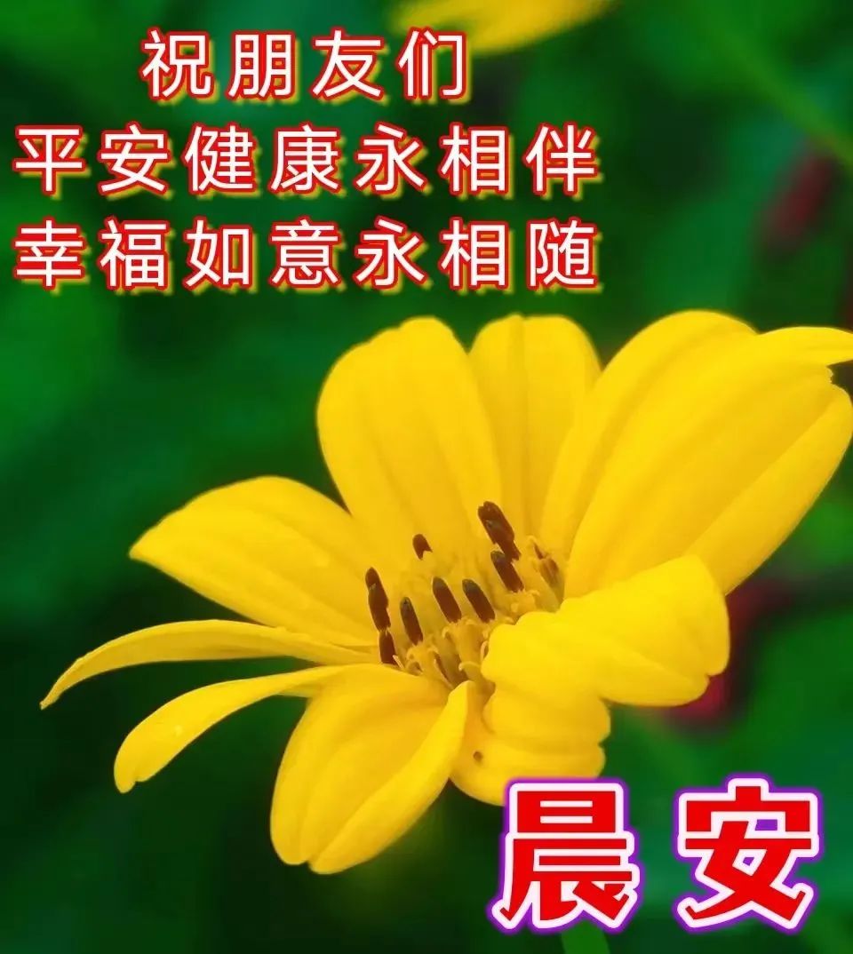 6月5日星期一早安祝福暖心图片带字带早上好语录 周一早安祝福图片带