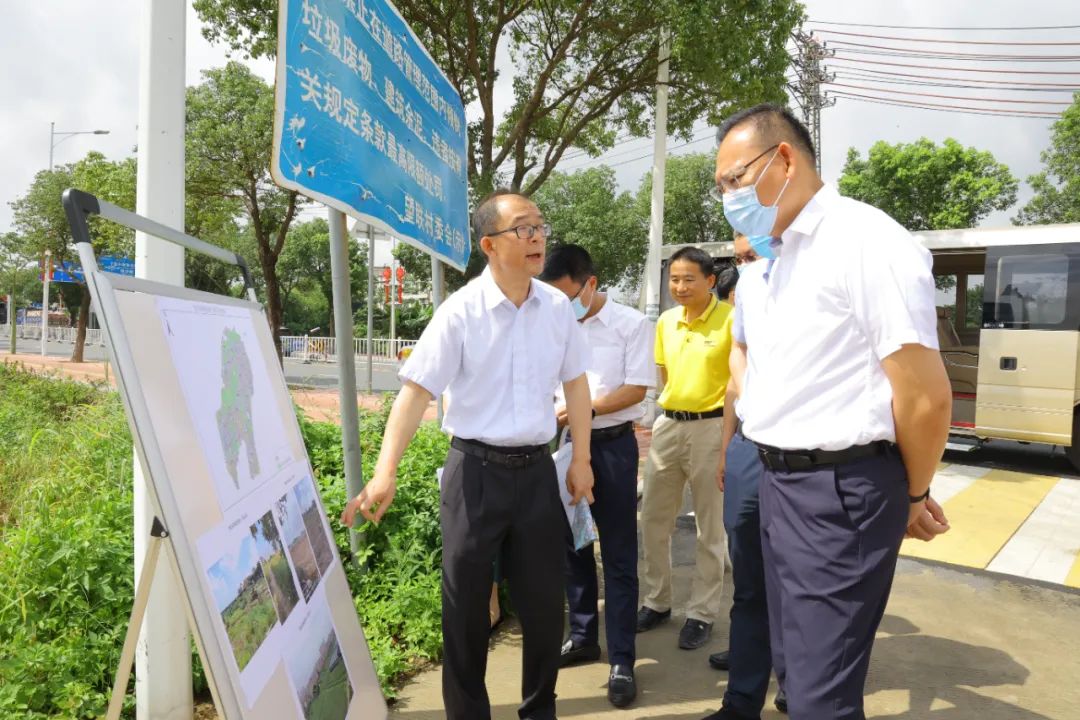 东莞市副市长到望牛墩镇调研督导安全生产,城市更新及耕地聚集工作