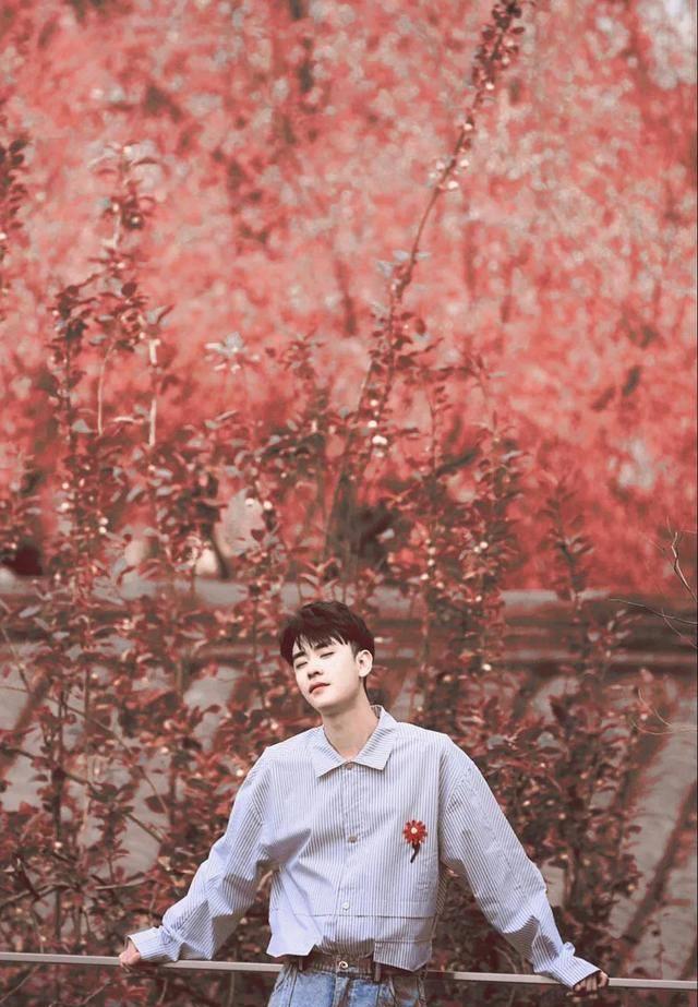 第五名,张云雷第六名,秦霄贤第七名,孟鹤堂第八名,张鹤伦杨九郎是