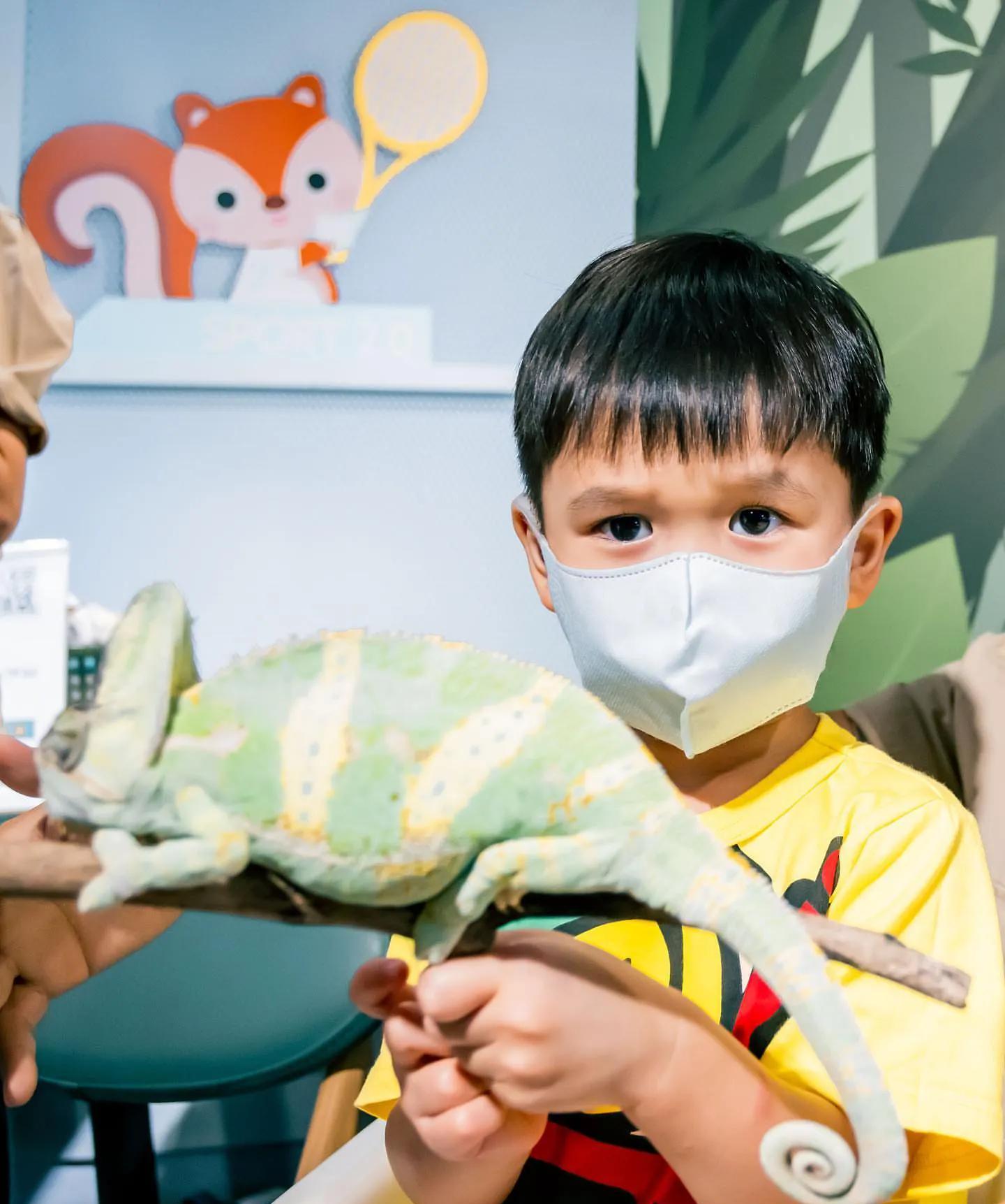 胡杏儿夫妇为二儿子庆生,3岁奕霖帅气可爱,把蛇挂脖子胆子超大_奕霆