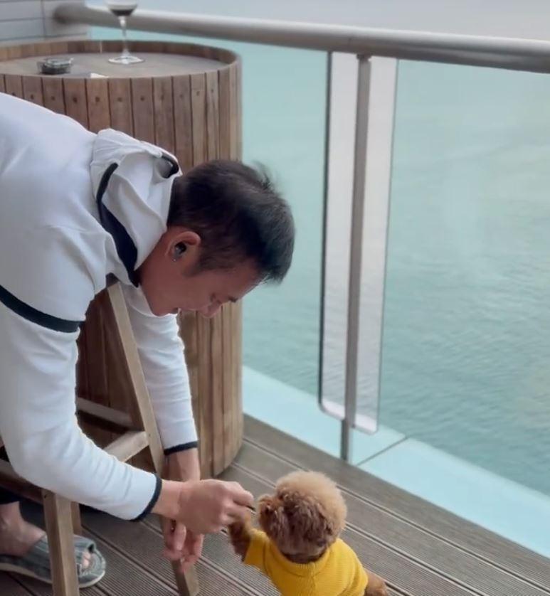 男星车祸成"亿万富豪",超美海景豪宅曝光_张兆辉_演出_港币