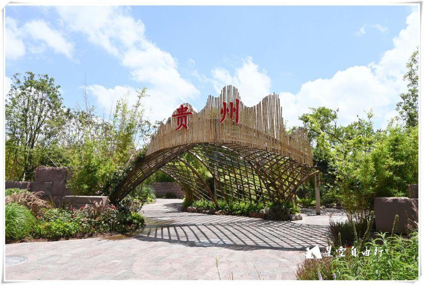 带爸妈逛花博会,今年在上海举办的花博览会美到我