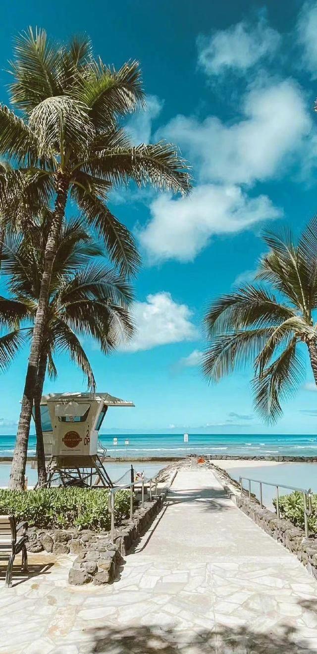 勤俭持家,上得厅堂下得厨房的三大星座女_工作_经营_女孩子