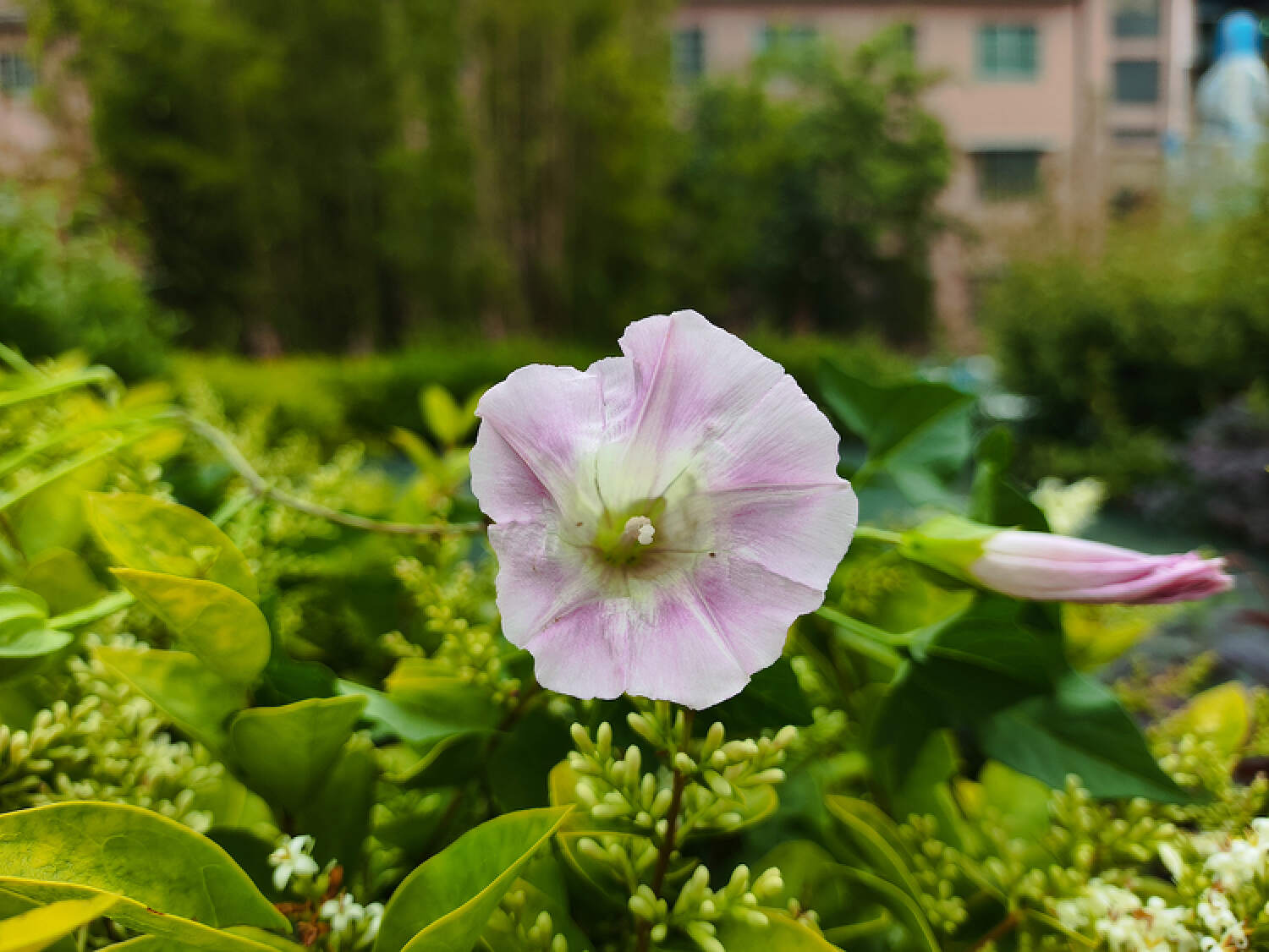 Redmi Note12 Turbo开箱评测，超值水桶旗舰吸睛无数！