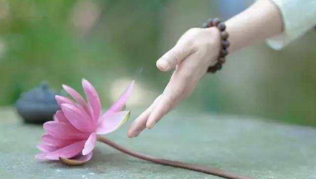 人生如茶,静心以对;往事清零,爱恨随意!_生活_心情_心态