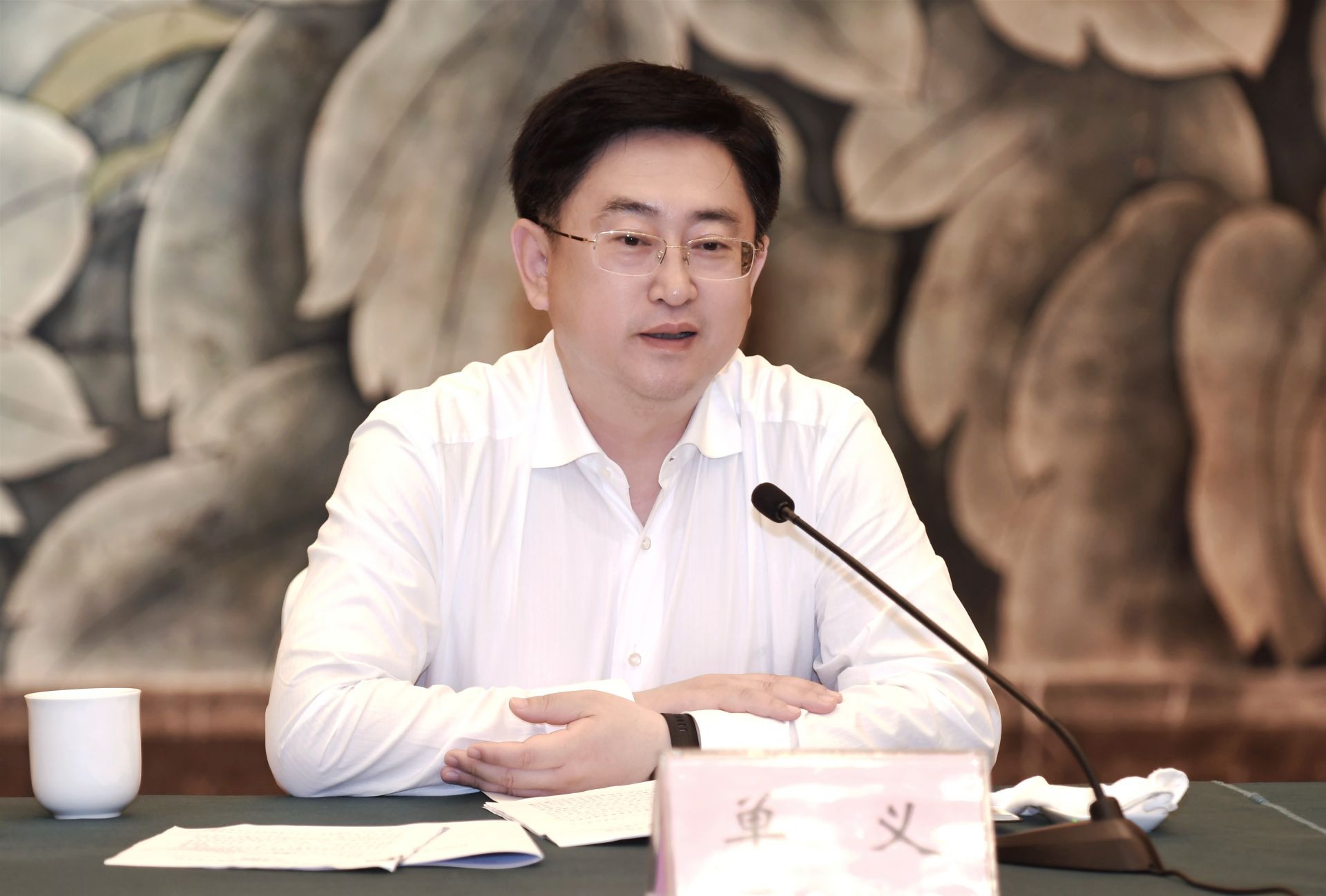 会上,镇江市委常委,副市长周凯,朝阳市委常委,副市长老颜武分别介绍了