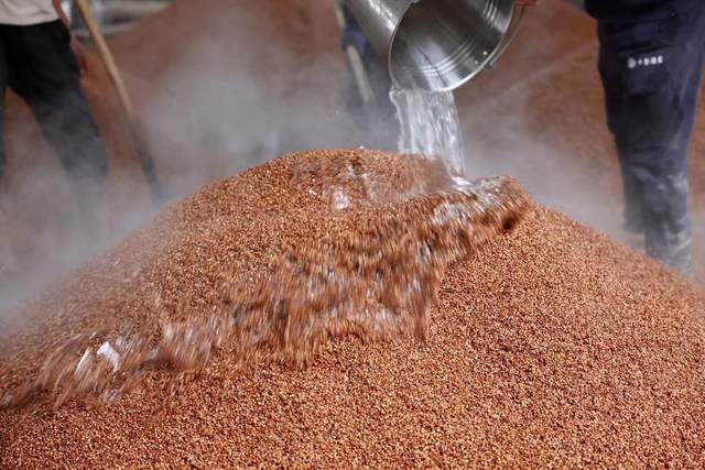 酱香白酒工艺之原料蒸煮_时间_要求_生产