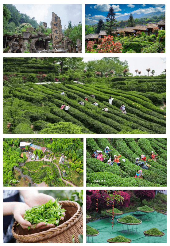 打卡景点二:石孟江河谷避暑休闲带离青城道茶观光园不远,石孟江的清