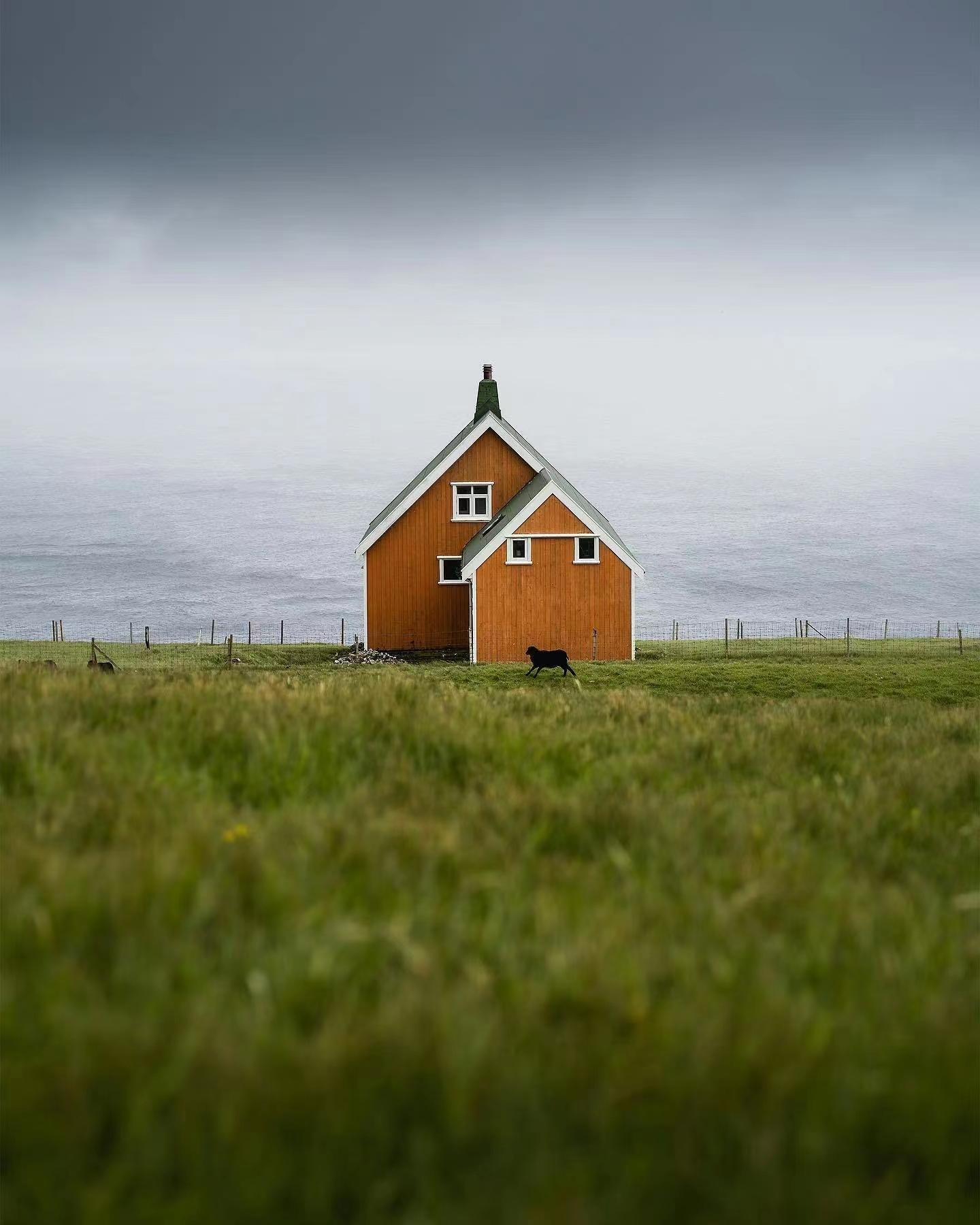 用好最简单的构图方法,也能拍出耐看的照片_画面_对比_主体