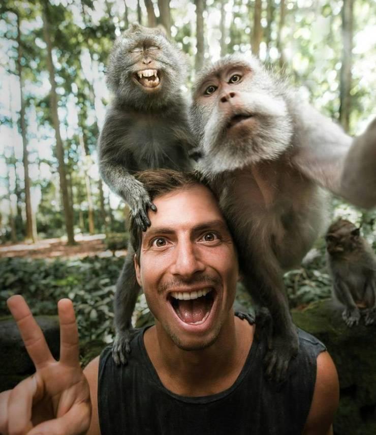 52张真实照片,生活中人与动物的有趣和搞笑的照片!