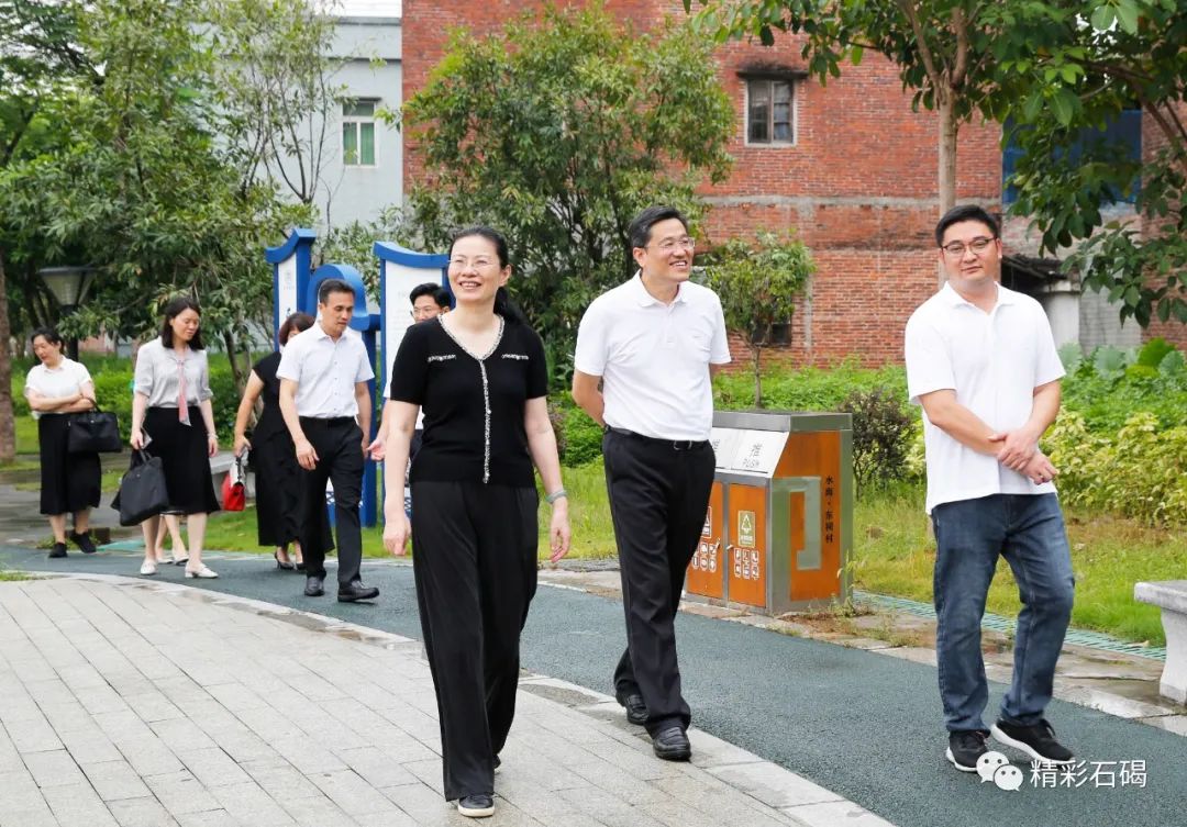 东莞市人大常委会到石碣调研基层人大工作_郑琳_建设_中心