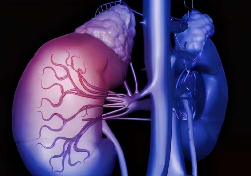 真相来了_人体_神经_奶奶