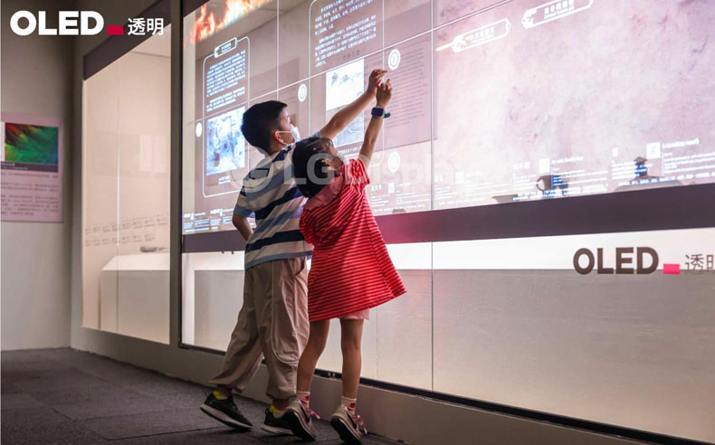 博物馆迎来"暑期热",透明oled给你不一样的体验_文物_观众_展览